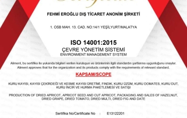 ISO 14001:2015