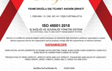ISO 45001:2018