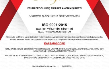 ISI 9001:2015